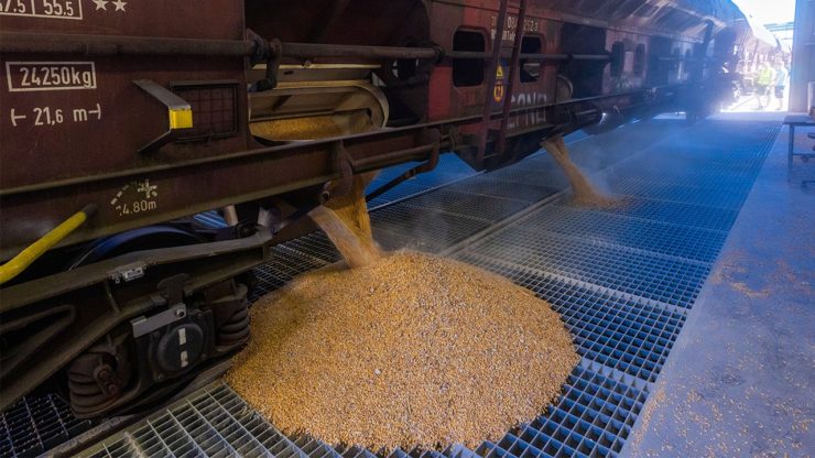 The issue of the grain deal