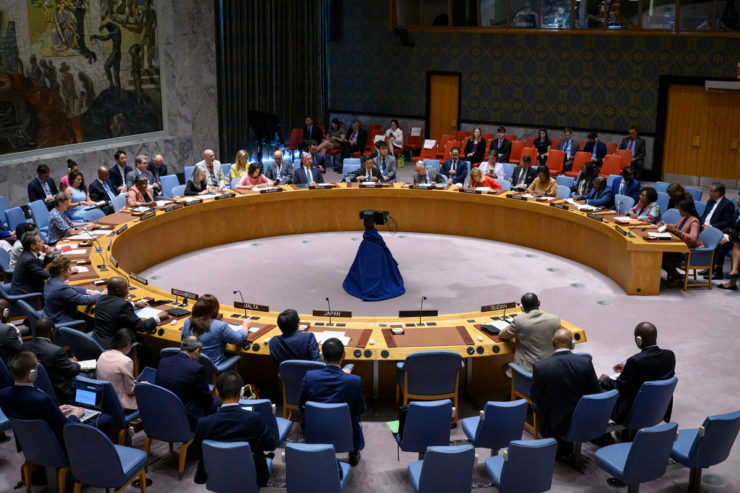 the UN Security Council on December