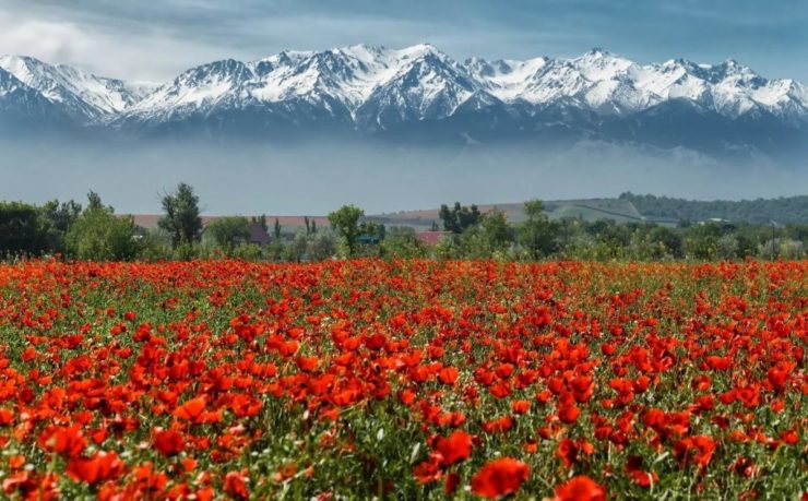 Таджикистан и Кыргызстан: неспокойная граница