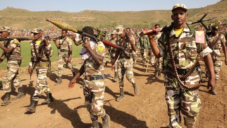 the Tigray People's Liberation Front (TPLF)