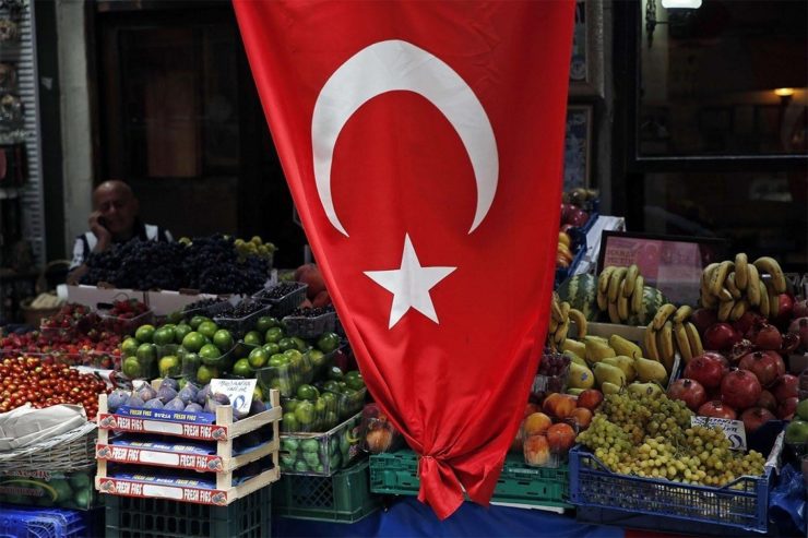 Why is the Turkish economy stuck in a profound crisis...?