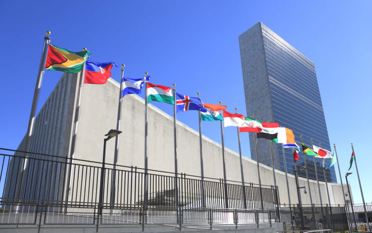 Динамика расстановки сил в Организации Объединенных Наций: вызовы глобальному миру
