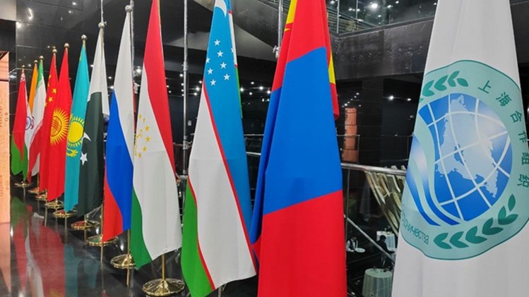 Significance of the Ongoing SCO Summit in Pakistan